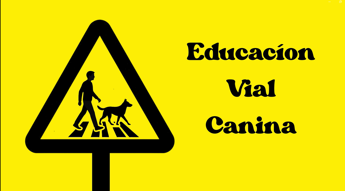 Cargar video: 
