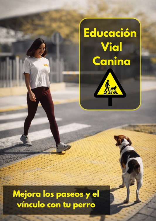 Educación Vial Canina